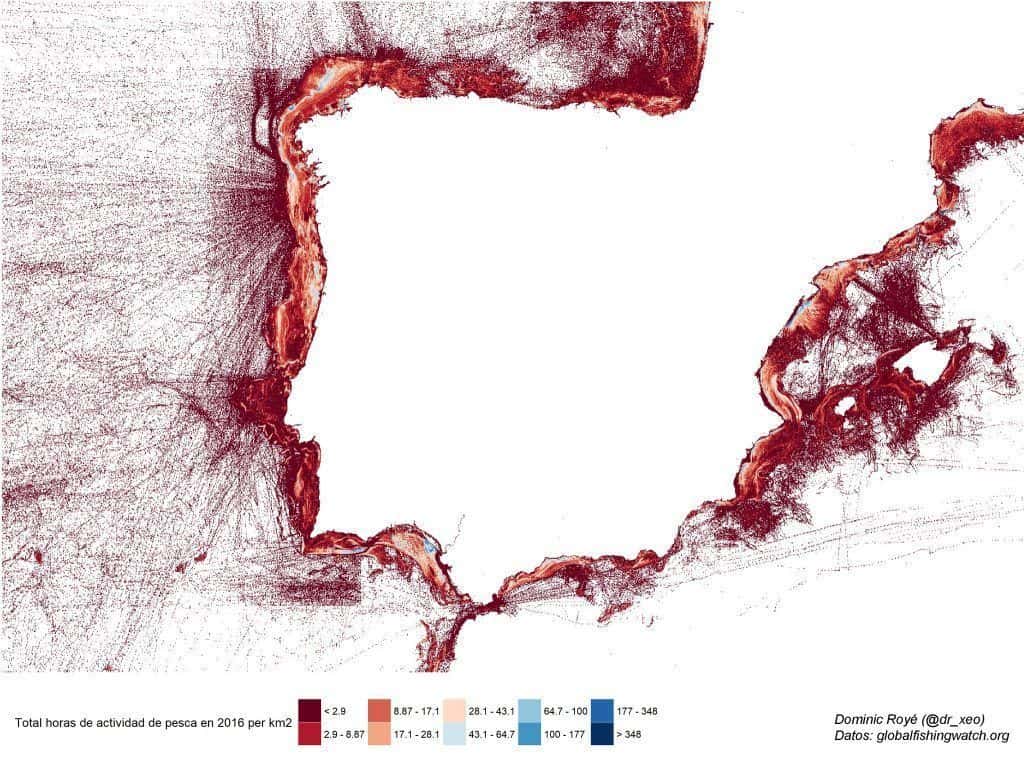 Horas de actividad de pesca en la Península Ibérica