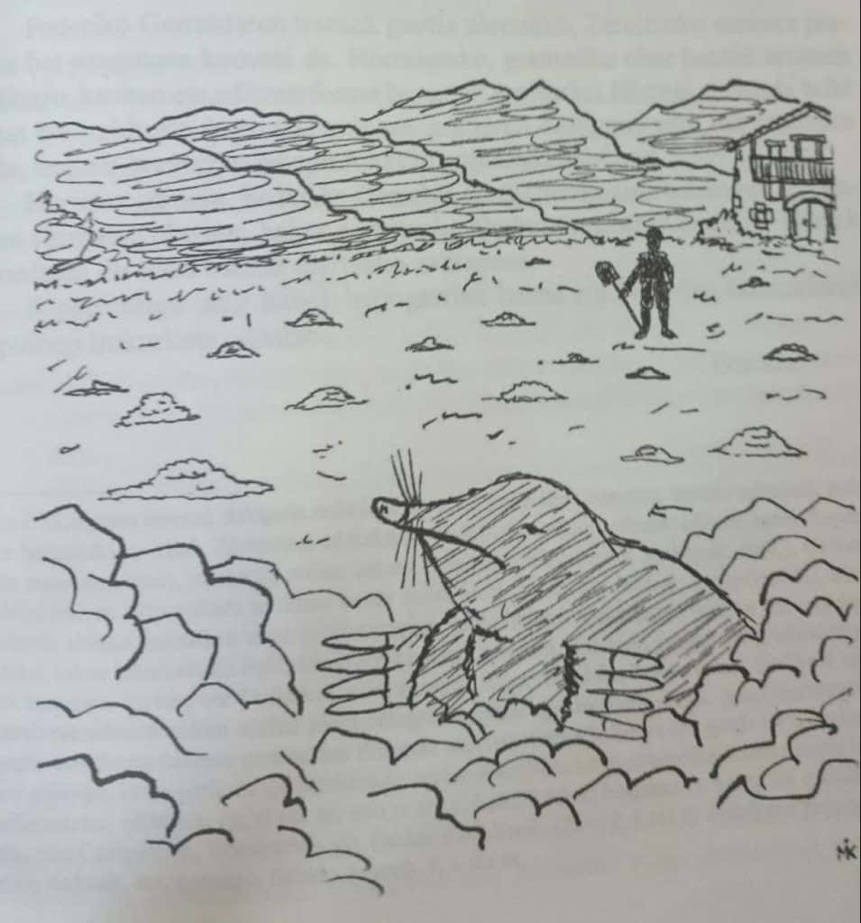 Portada del libro de Federico Garralda con ilustración de Mikel Ilundain.