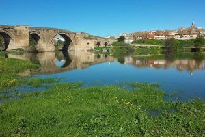 puente_arzobispo