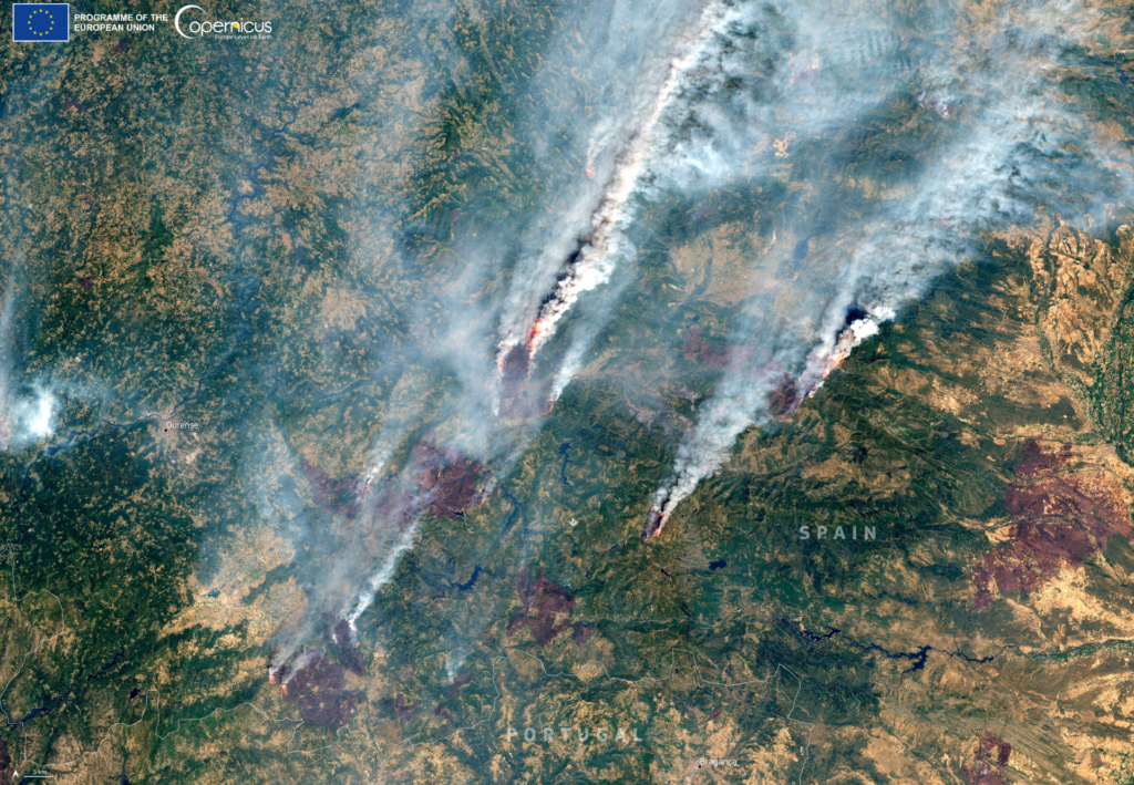 Incendios forestales